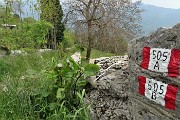 78 L'avvio ben segnato del sentiero 505A-B di discesa a Zogno